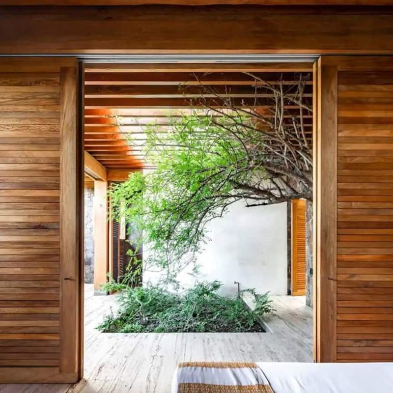 Cliffside Villa in Mazunte