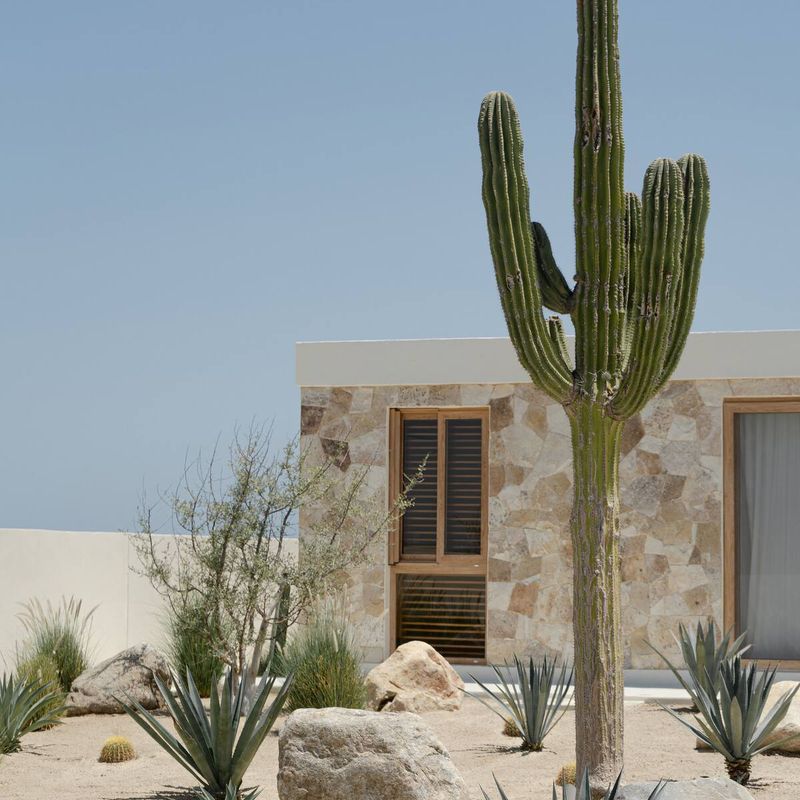 Beachfront Villa in La Ribera