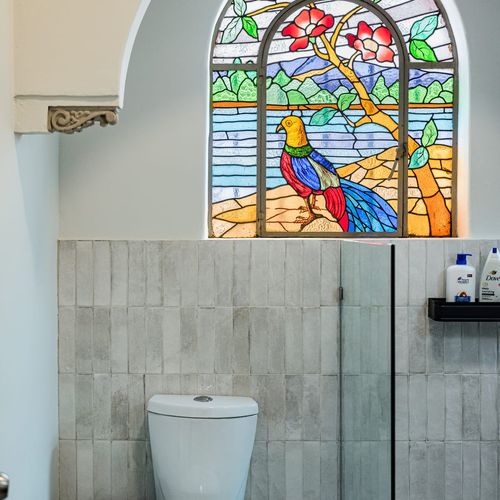 Large Home in Roma Norte