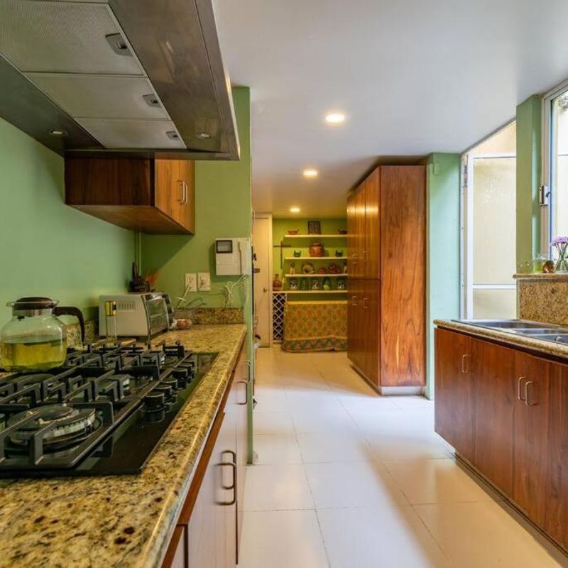 Artist's Home in Condesa