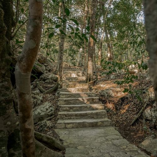 Villa in Tulum