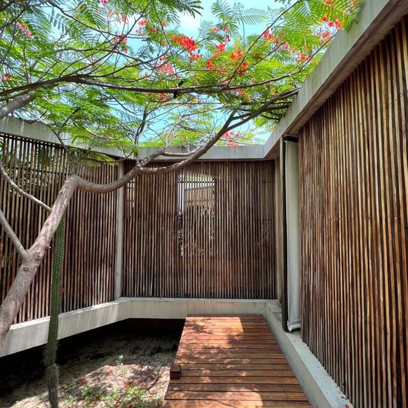 Beach Villa in Casa Wabi Area