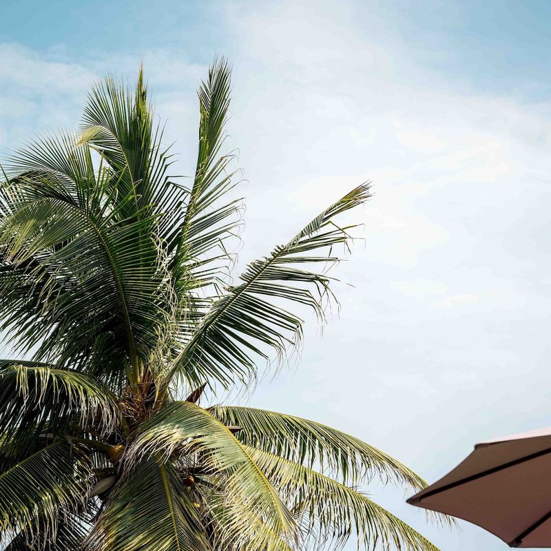 Oceanfront Villa in Santa María Colotepec