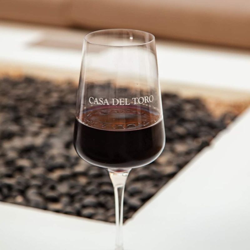 Villa in Todos Santos