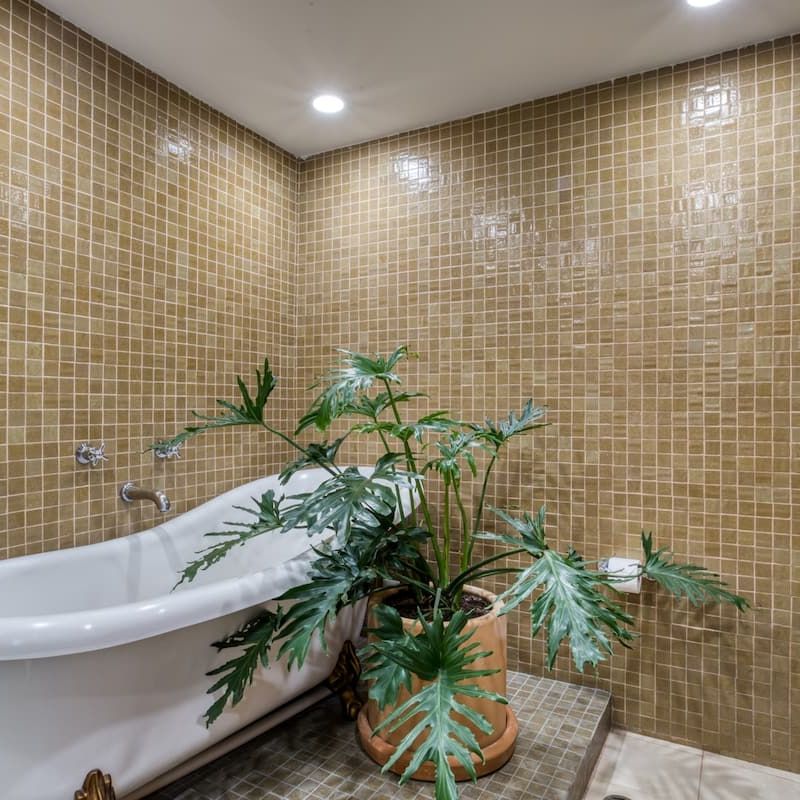 Private House in Condesa