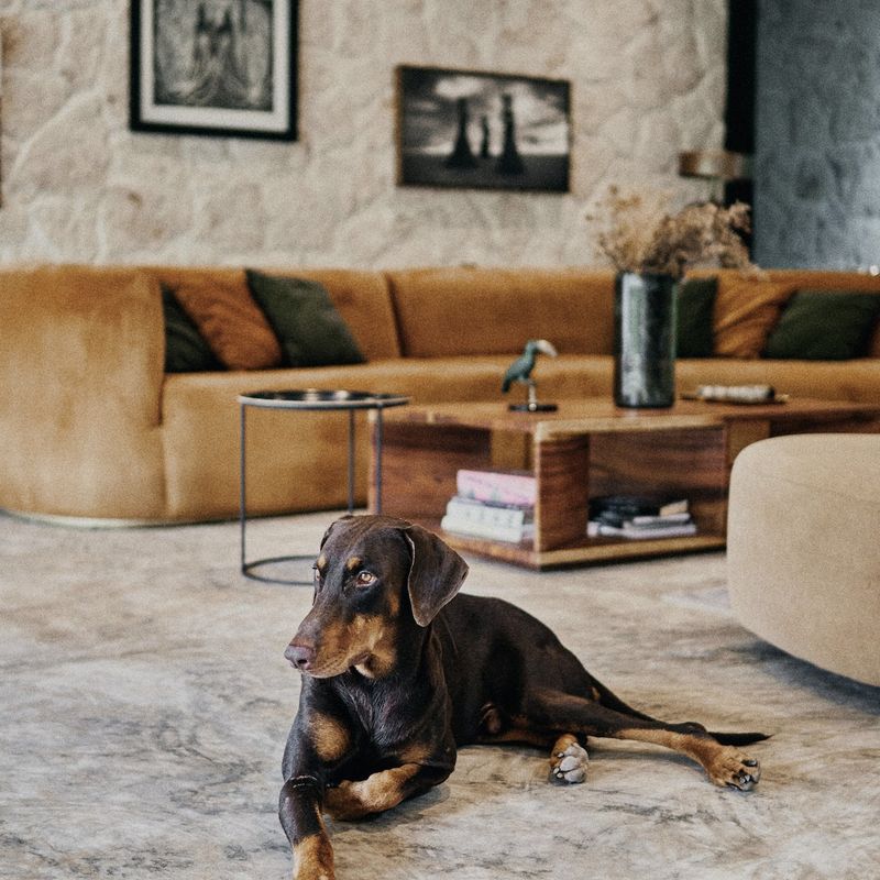 Designer Home in Macario Gómez