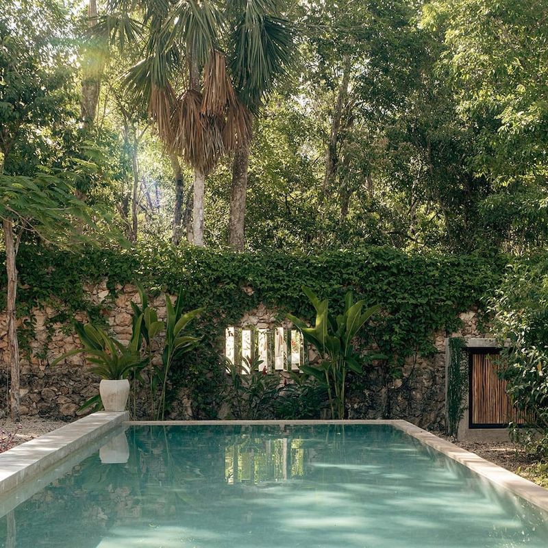 Designer Home in Macario Gómez