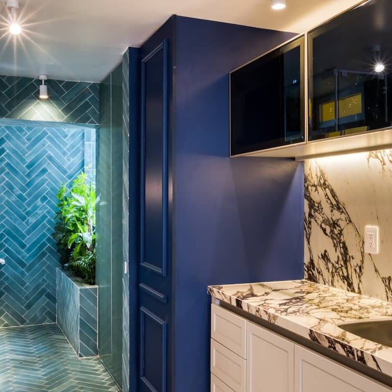 Two Apartments in Condesa