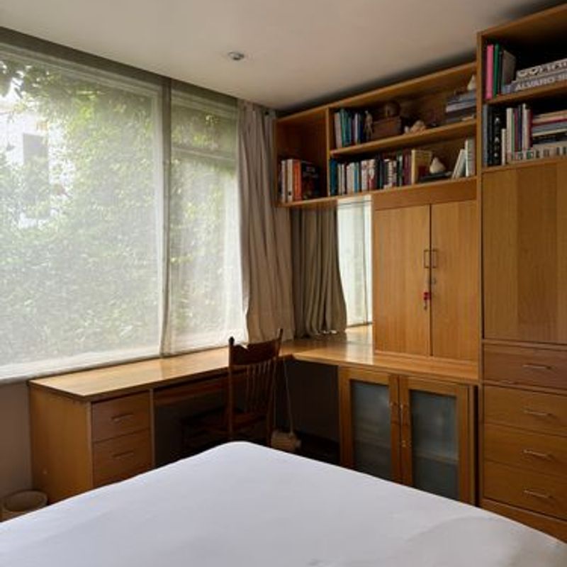 Two Homes in Condesa