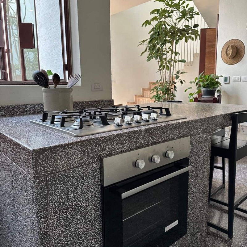 Designer Home in Condesa