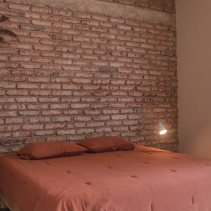 Large Home in Roma Sur