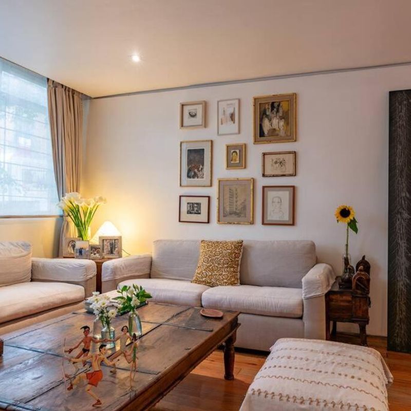 Artist's Home in Condesa