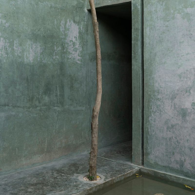 Home in Sisal Valladolid 