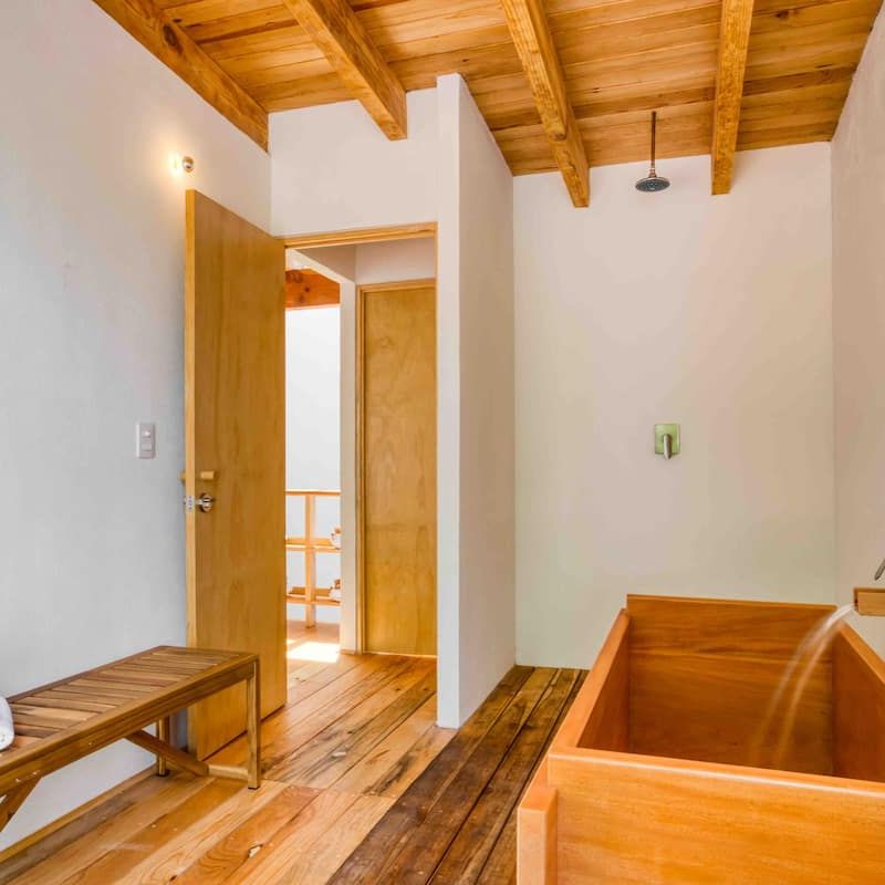 1930s Home in Condesa