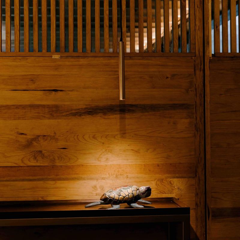 Designer Home in Oaxaca