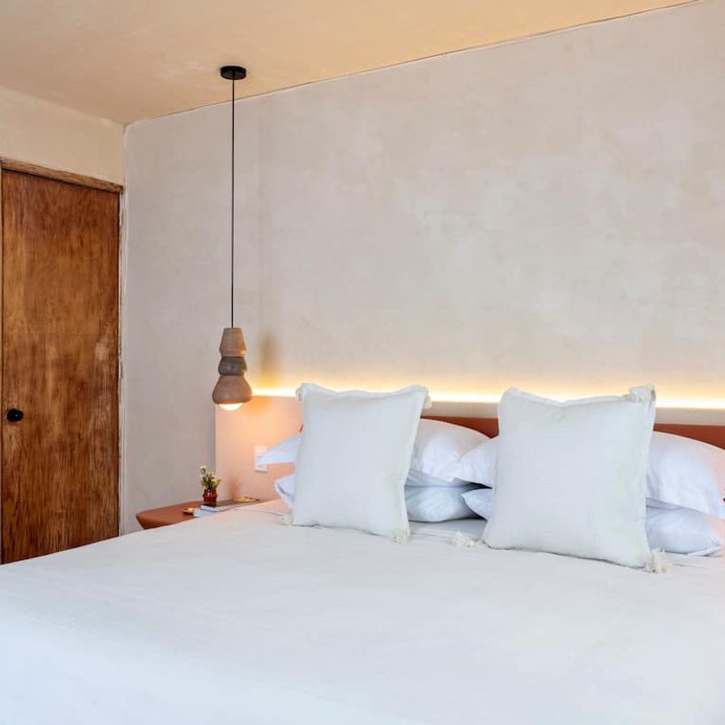 Two Homes in Polanco