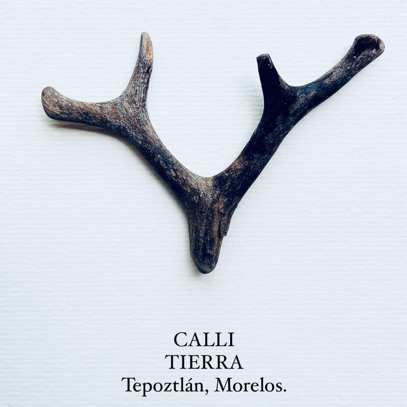 Mountain Cabin in Tepoztlan