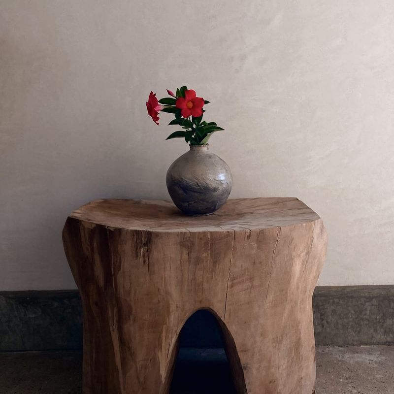 Home in San Agustinillo