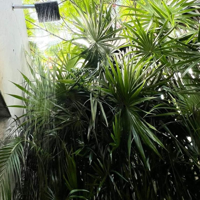 Beach Villa in Casa Wabi Area