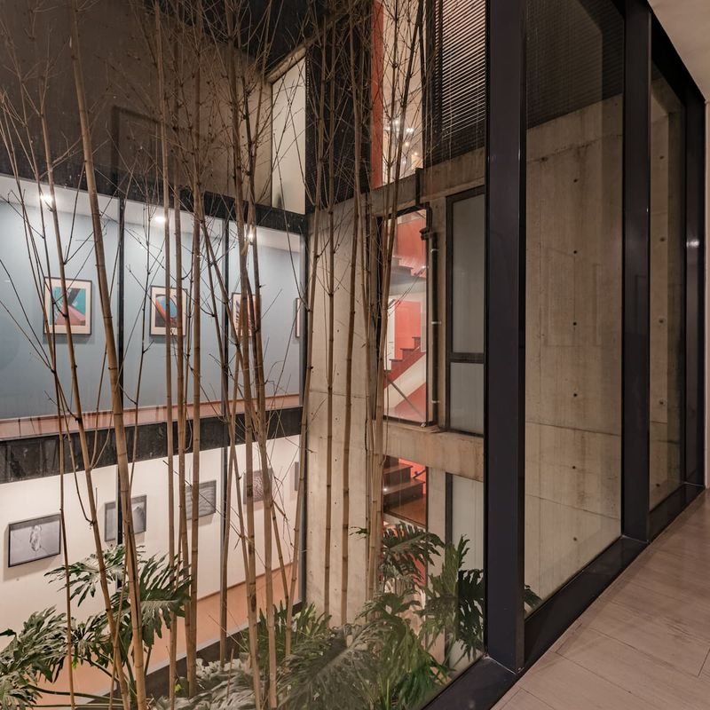 Large Home in Condesa