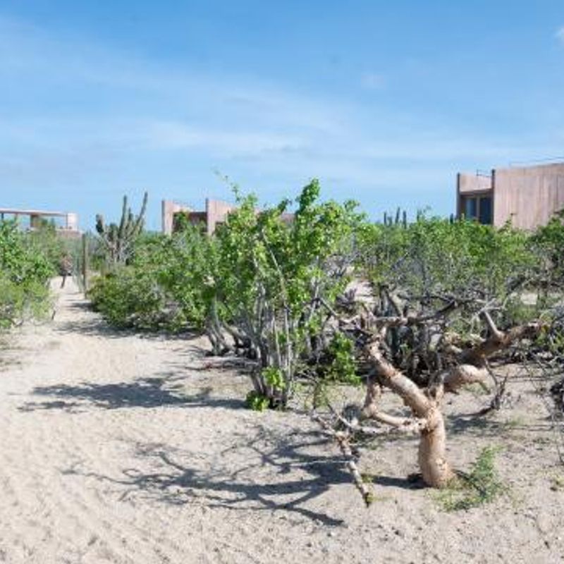 Home in Todos Santos