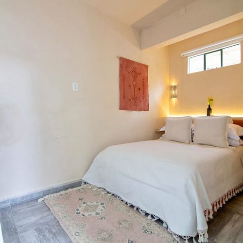 Two Homes in Polanco