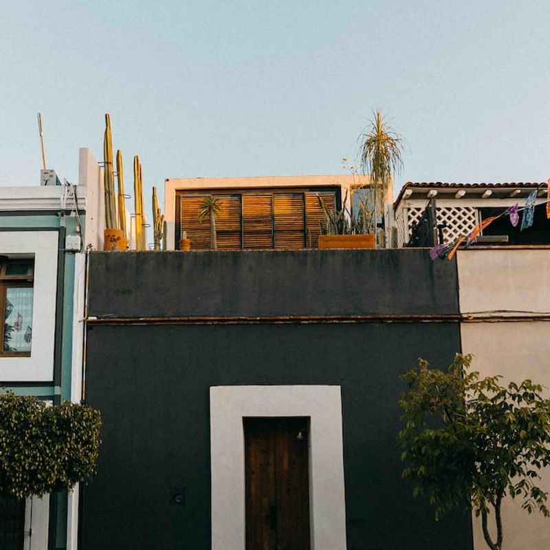 Designer Home in Oaxaca