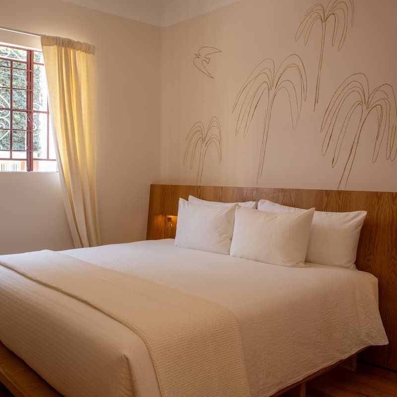 Designer Home in Condesa