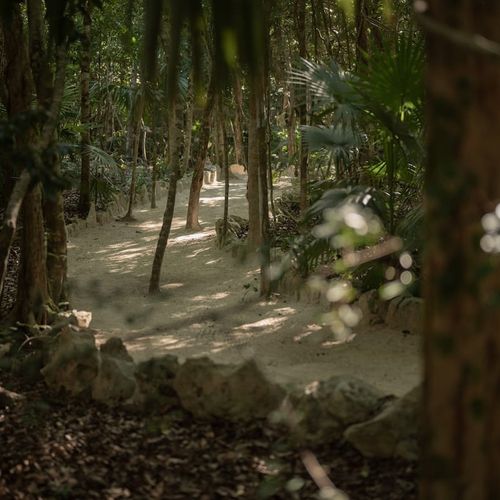 Villa in Tulum