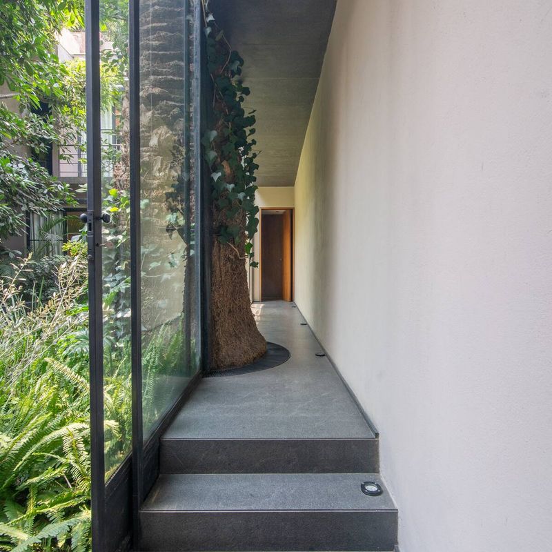 Historic home in Condesa