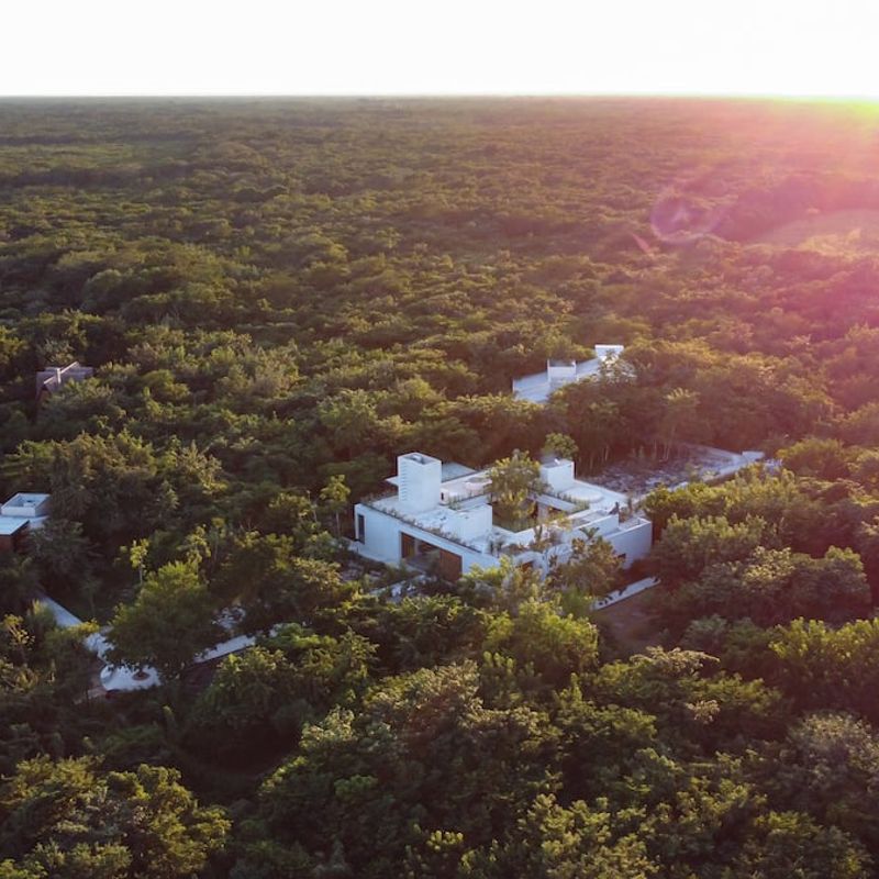 Luxury Jungle Villa in Valladolid