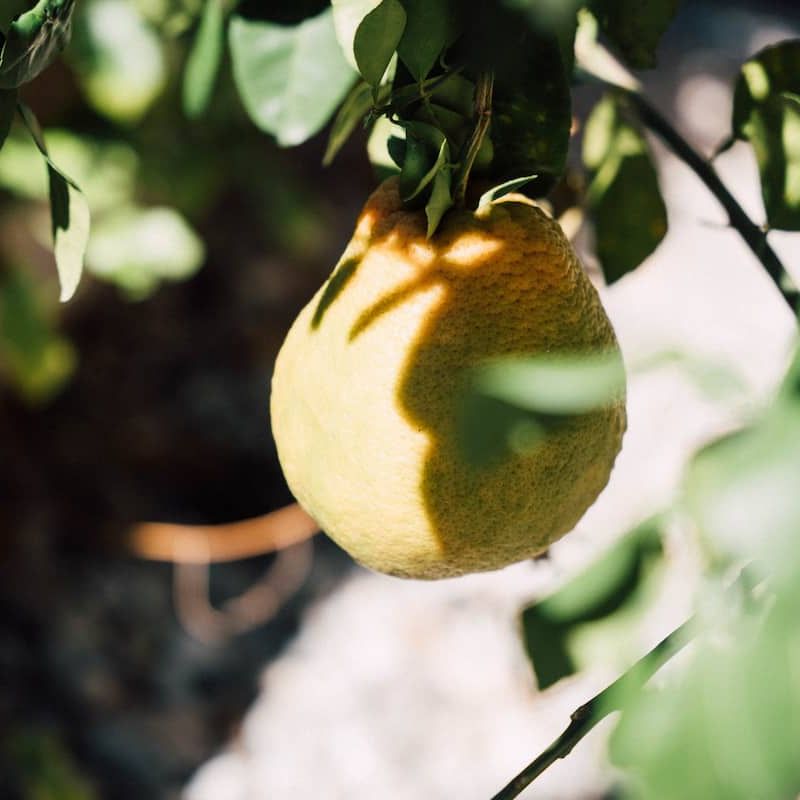 Home in Santa María Colotepec