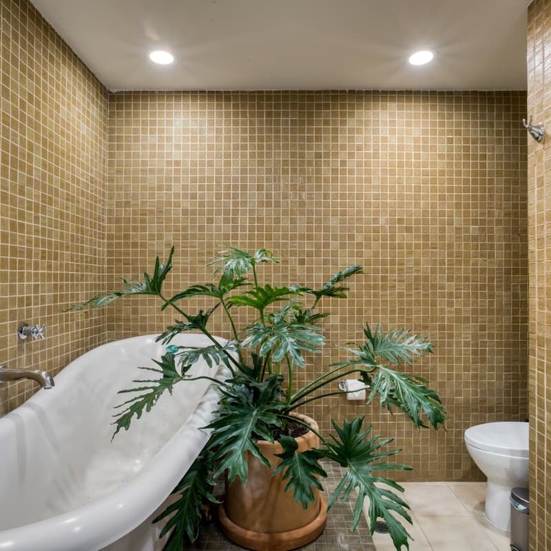 Private House in Condesa