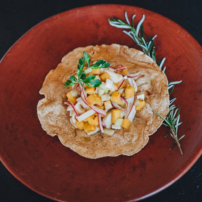 House in Santa Elena Tule