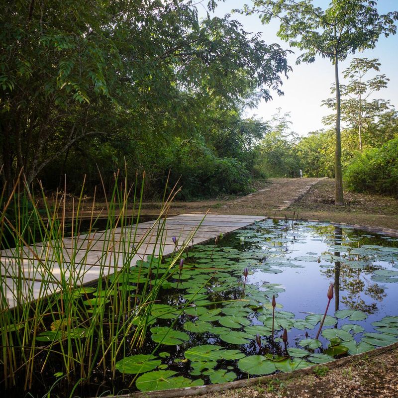 Luxury Jungle Villa in Valladolid