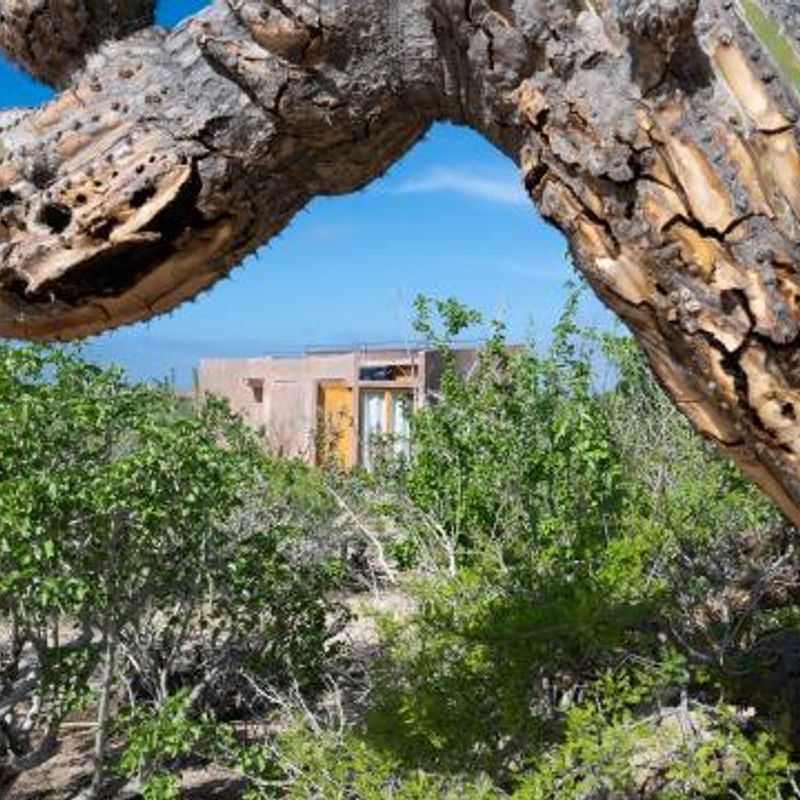 Home in Todos Santos