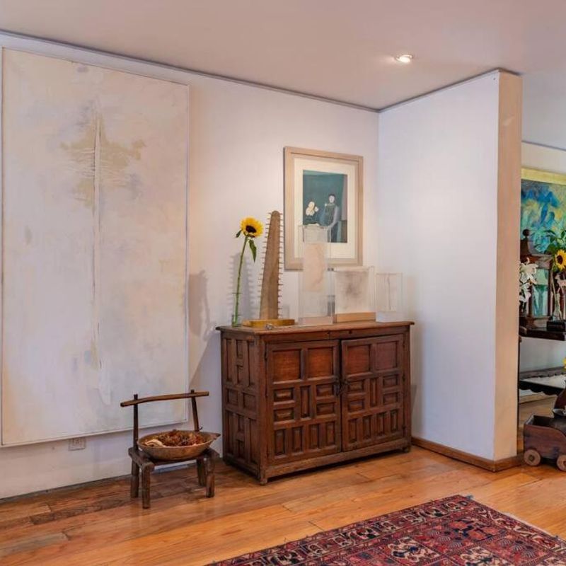Artist's Home in Condesa