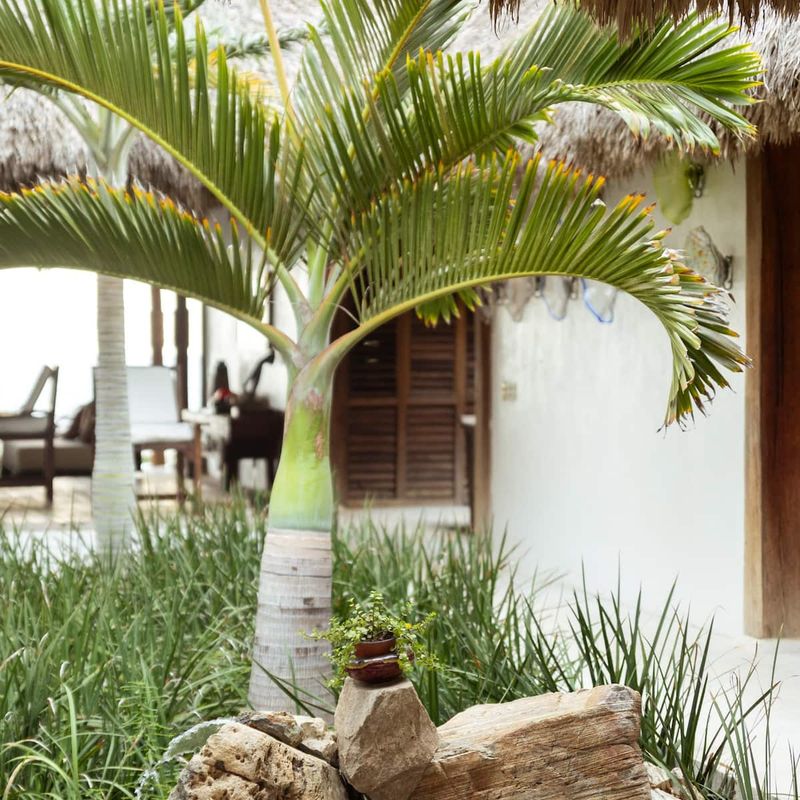 Villa in Los Naranjos