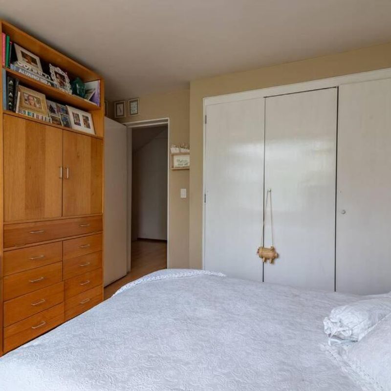 Artist's Home in Condesa