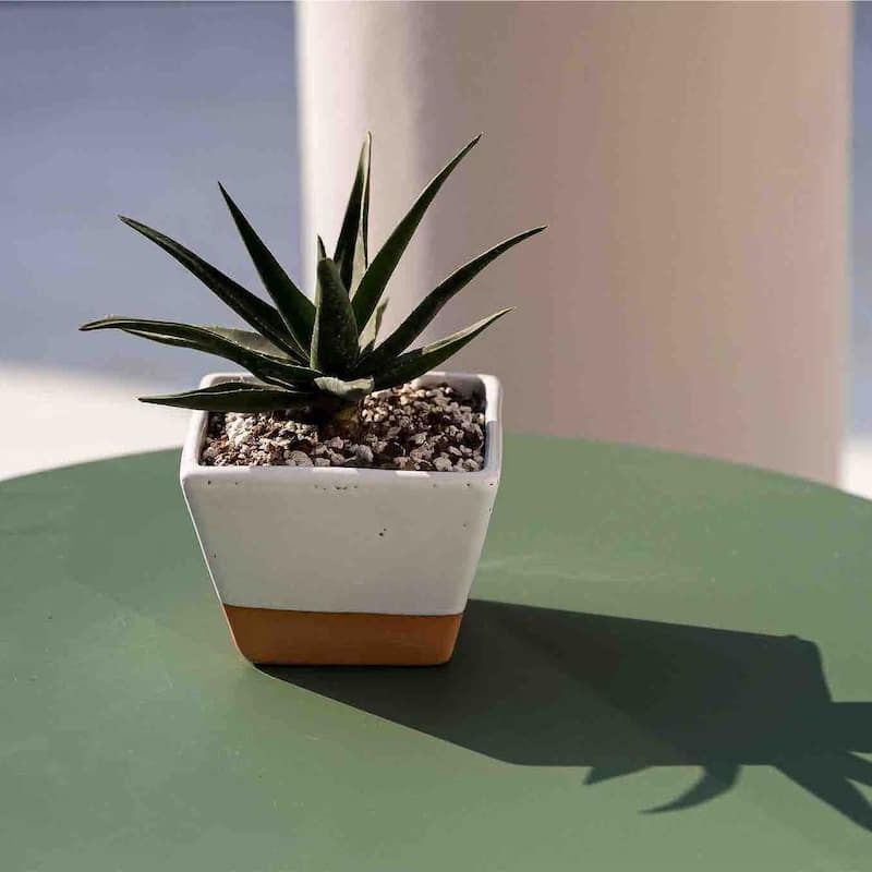 Home in Puerto Escondido