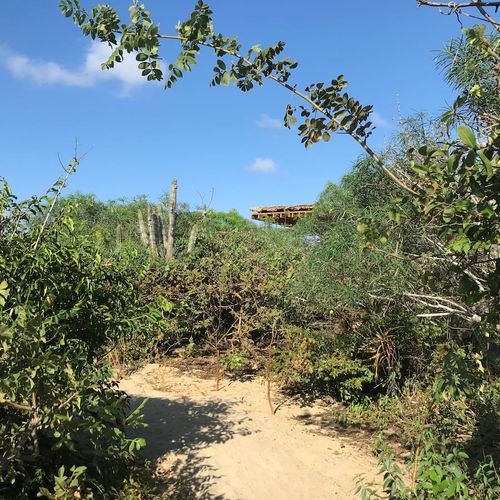 Beach Shack in Casa Wabi Area