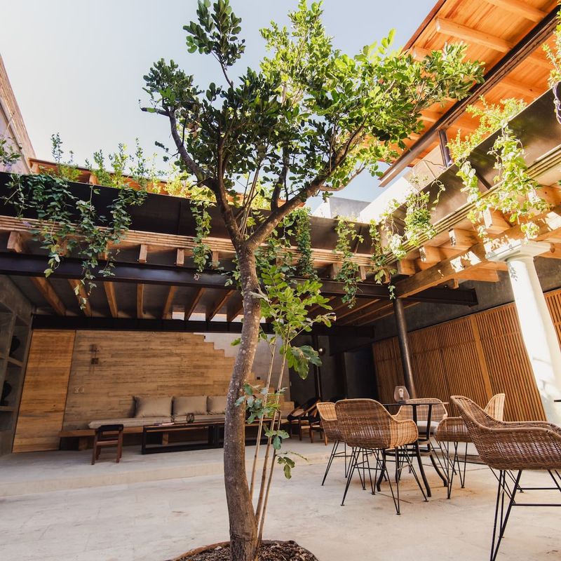 Designer Home in Oaxaca