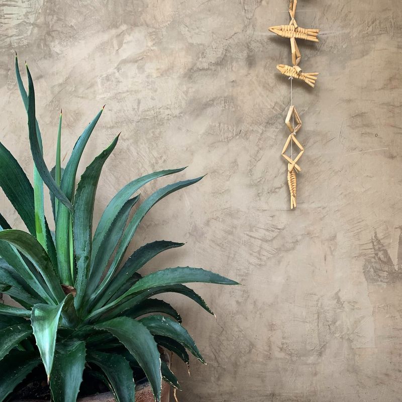 Apartment in Mazunte