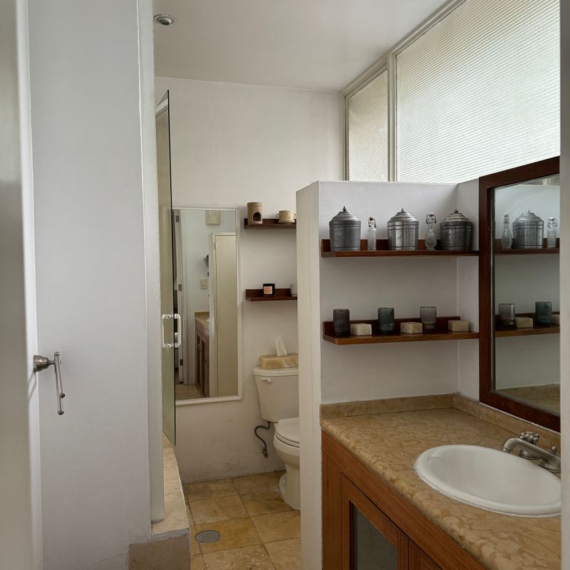 Artist's Home in Condesa