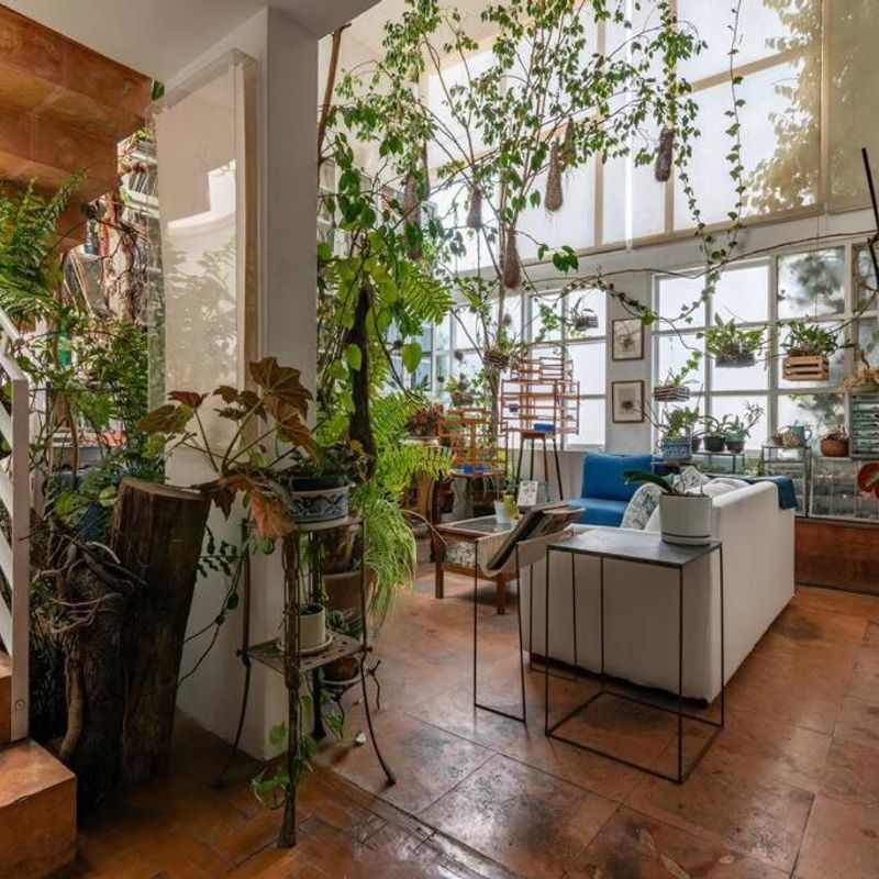 Artist's Home in Condesa