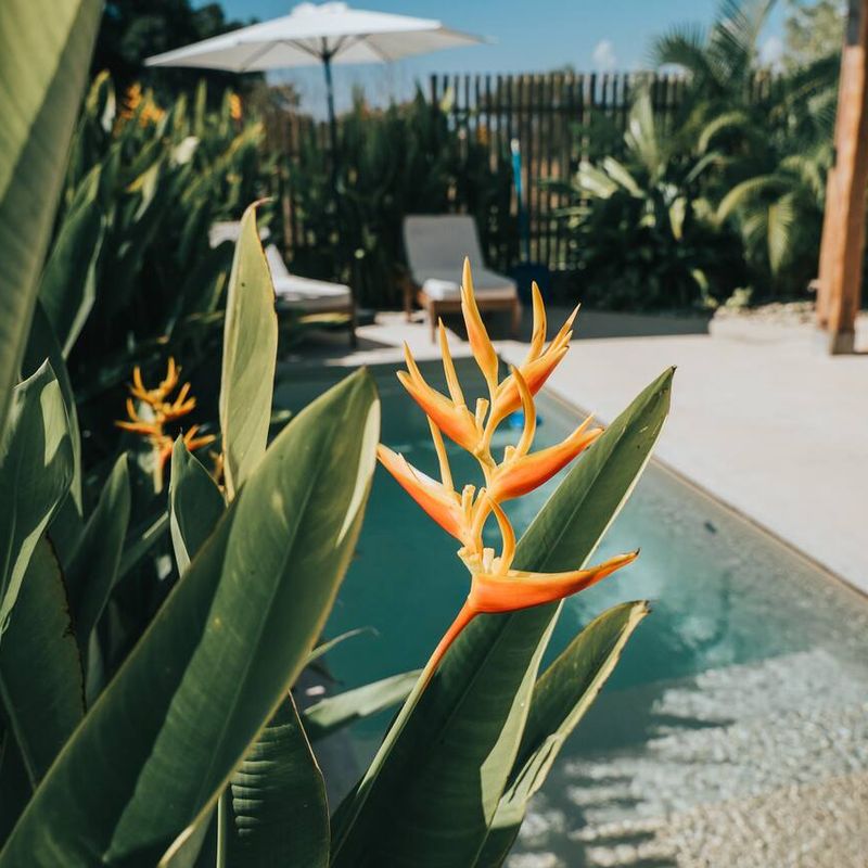 Home in Santa María Colotepec