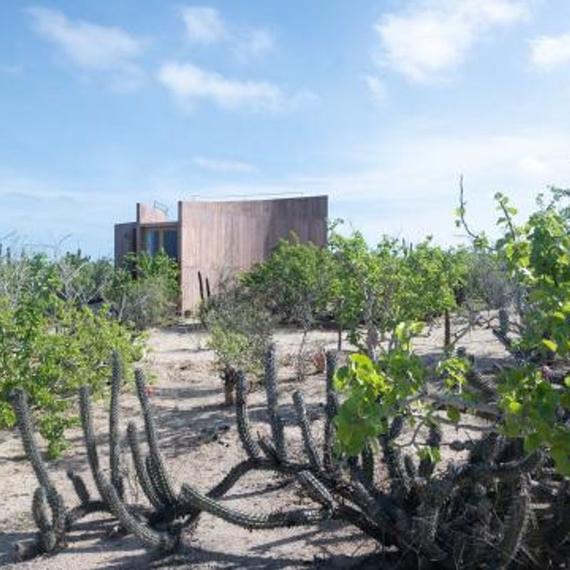 Home in Todos Santos