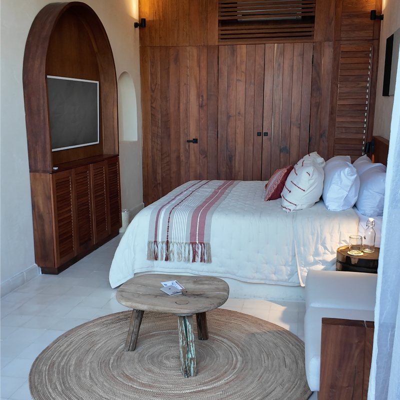 Designer Home in Merida