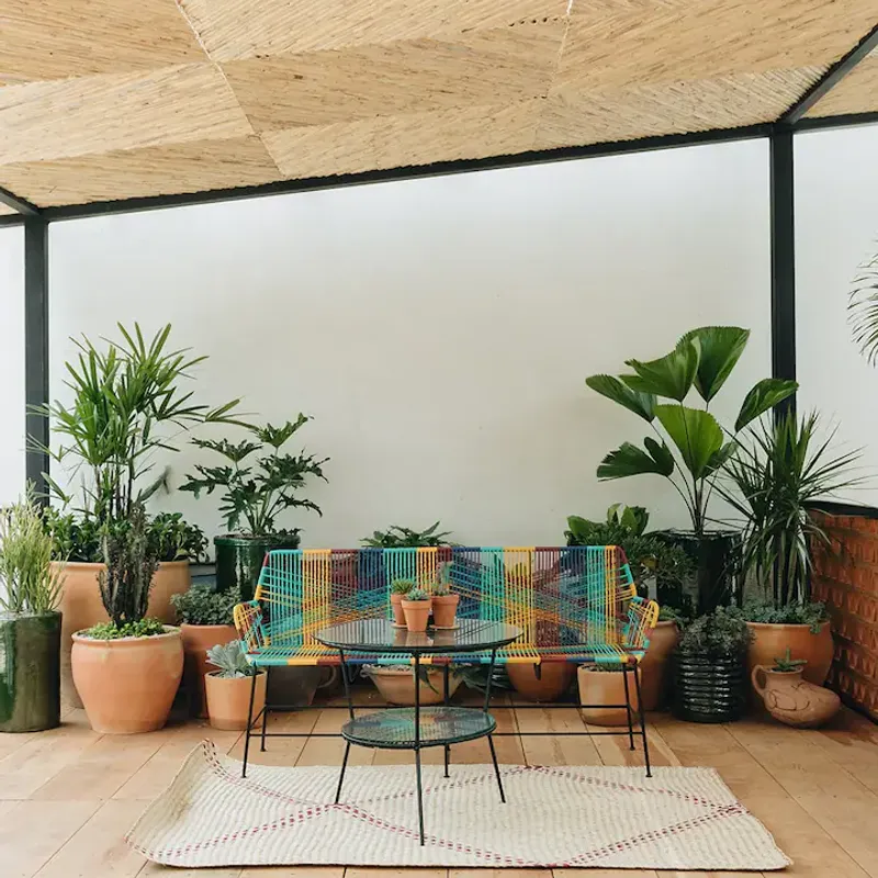 Designer Home in Oaxaca