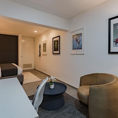 Large Home in Condesa